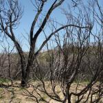 Wilson Promontory Park